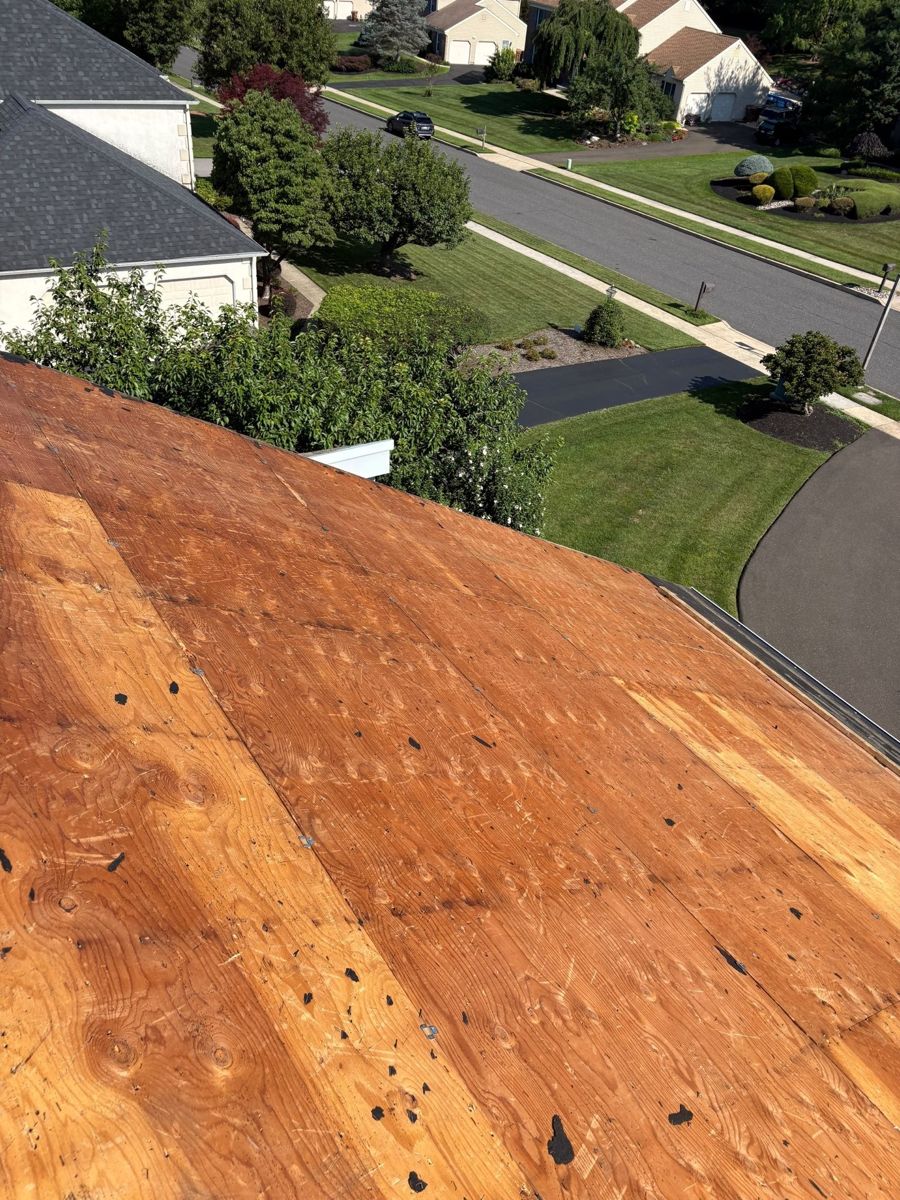 Roof stripped to the plywood deck during a replacement in Dresher, PA