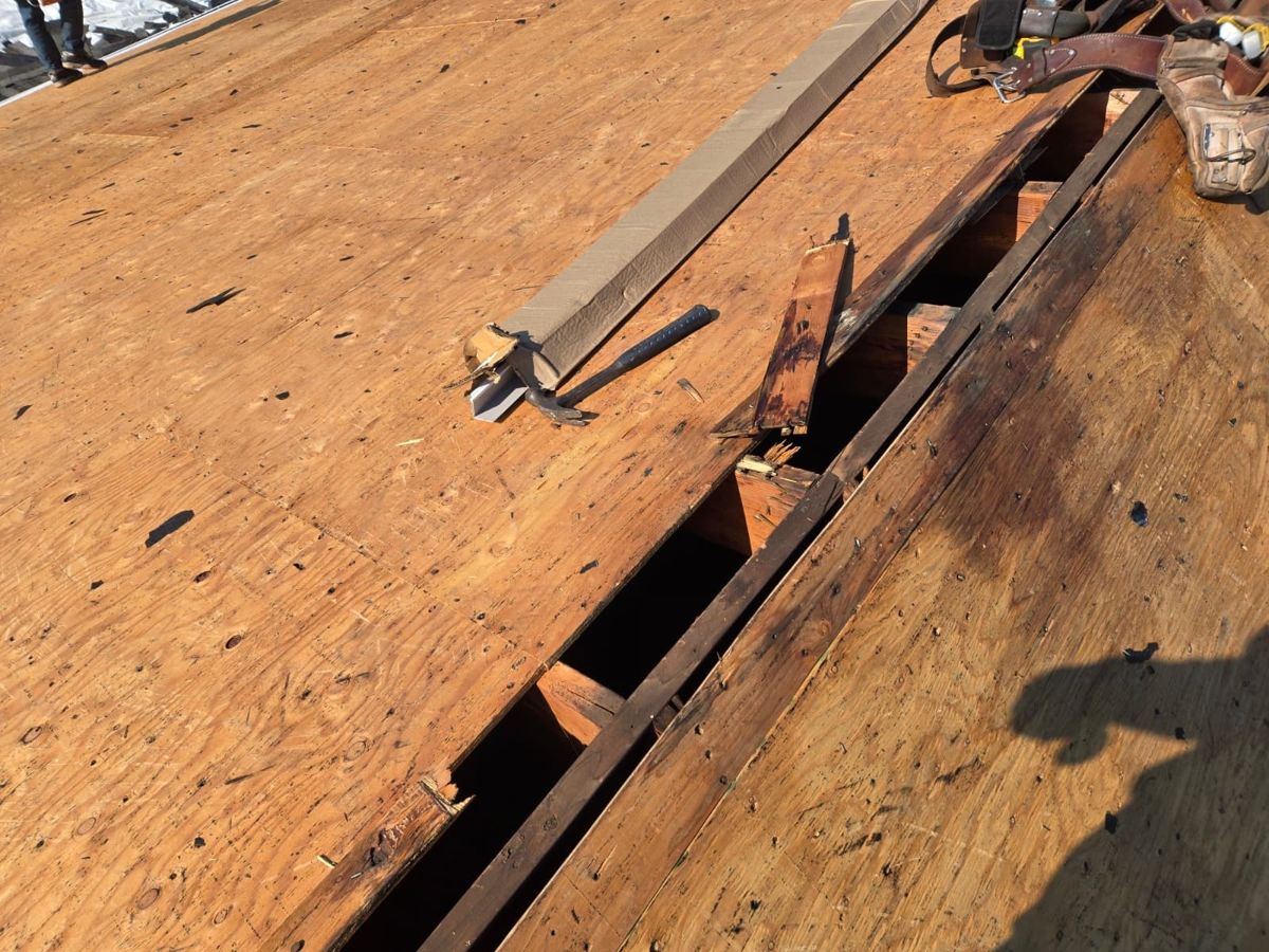 Damaged roof decking opened up along the ridge during a tear-off in Hatboro, PA