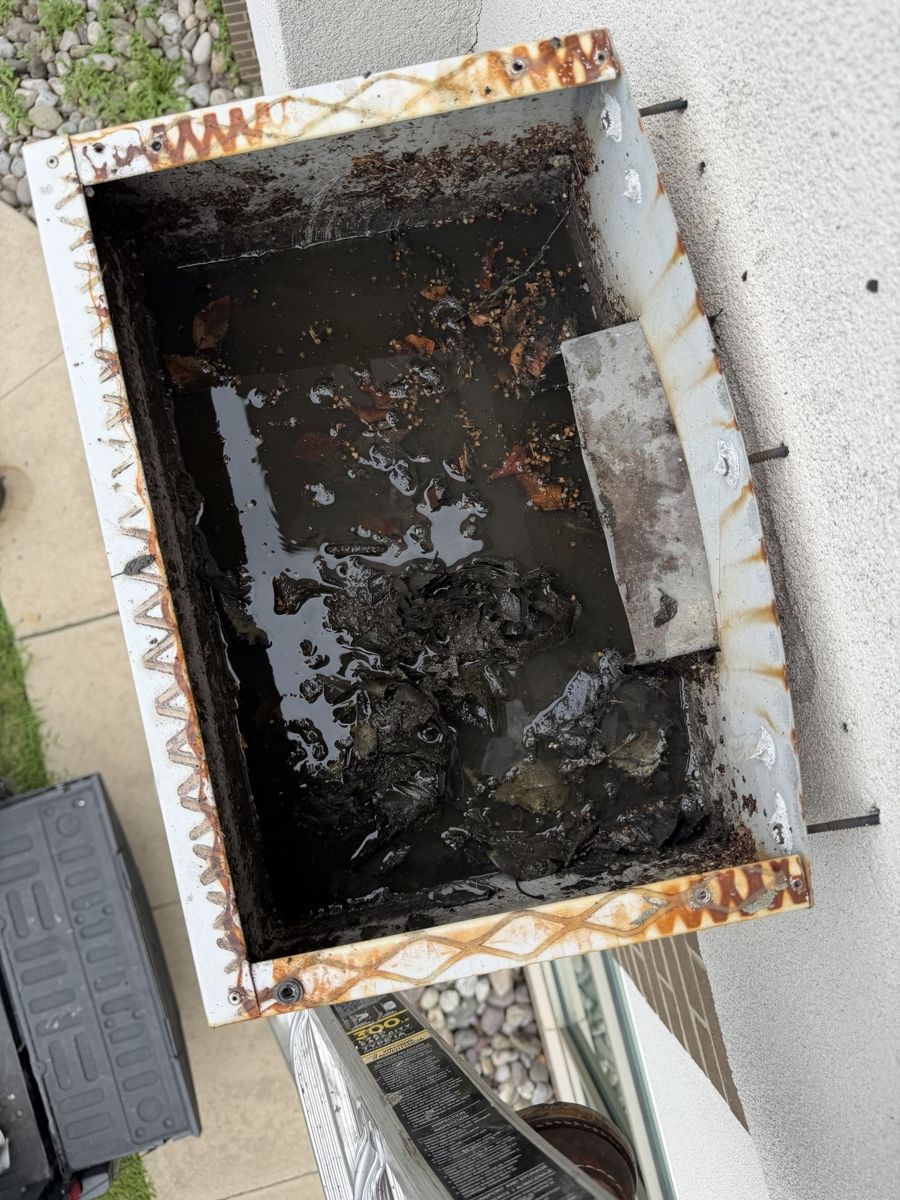 Roof drain box clogged with leaves and debris on a commercial building in Warrington, PA